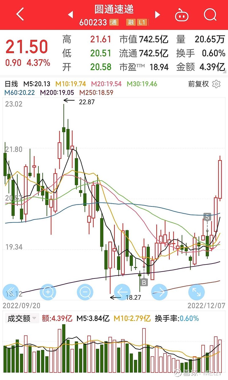 圆通速递股票最新动态，市场走势分析与前景展望