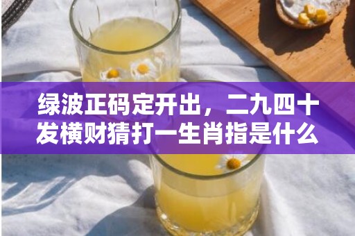 今期生肖一一开指的什么生肖,正确解答落实_薄荷版83.522