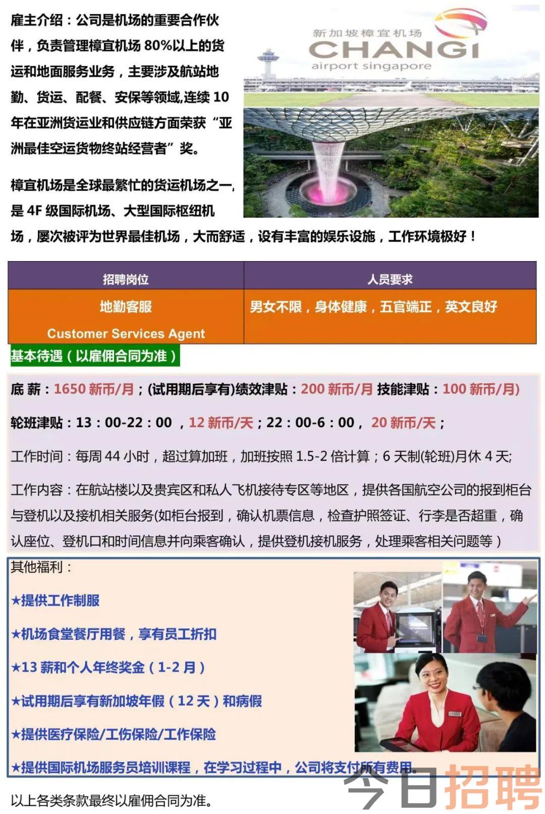 新加坡招聘网最新招聘动态深度解析与趋势展望