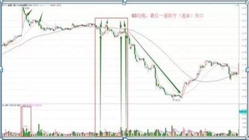 100%最准的一肖,仿真实现方案_领航版68.64