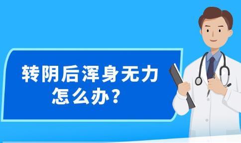 新澳精准资料免费提供网站有哪些,精准实施解析_3DM89.362