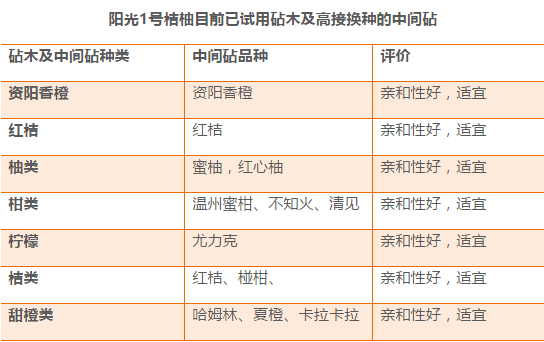 新澳门开奖号码2024年开奖记录查询,广泛的解释落实方法分析_iPad43.916