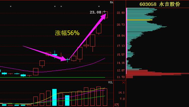 77777788888王中王中特攻略,可靠解析评估_纪念版40.942