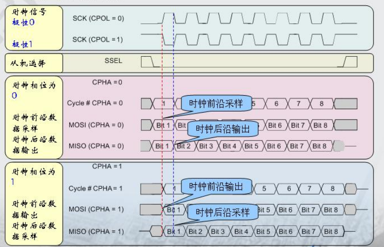 2024新澳正版免费资料,数据驱动执行方案_限量版70.286