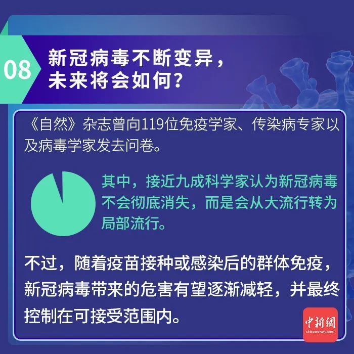 新奥今天最新资料晚上出冷汗,最新核心解答定义_薄荷版65.913