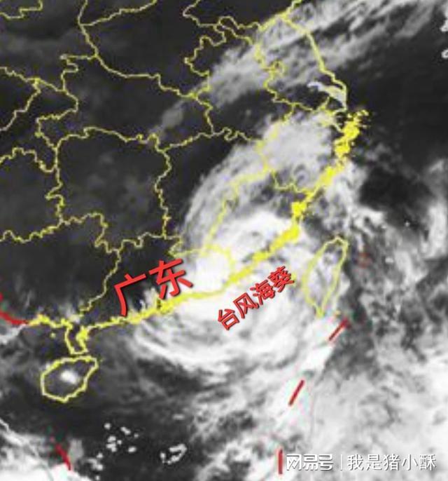 中国台风网更新消息，台风实时动态与应对策略