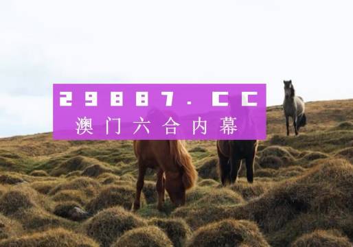 澳门4949开奖现场直播+开,收益成语分析落实_经典款83.205