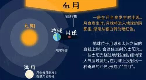 2024年澳门今晚开什么吗,深入数据设计策略_X88.753