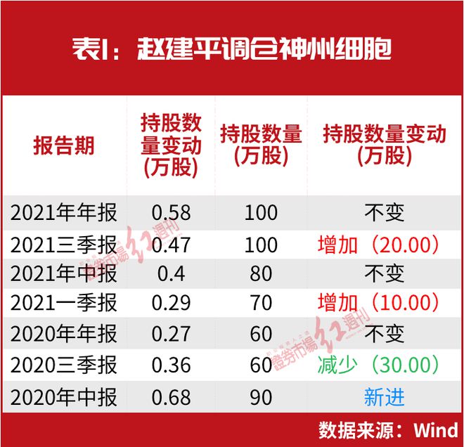 赵建平最新持股动向揭秘，深度解析及前景展望