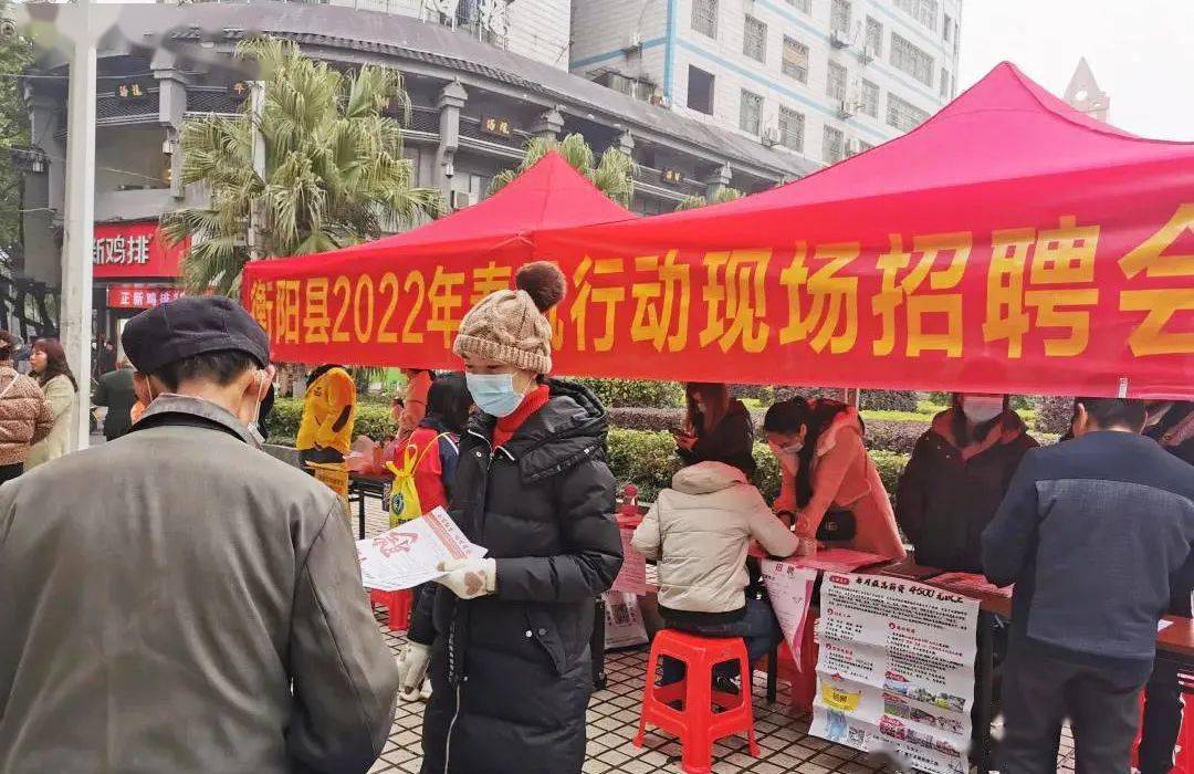 衡阳人才网最新招聘动态深度解析与解读