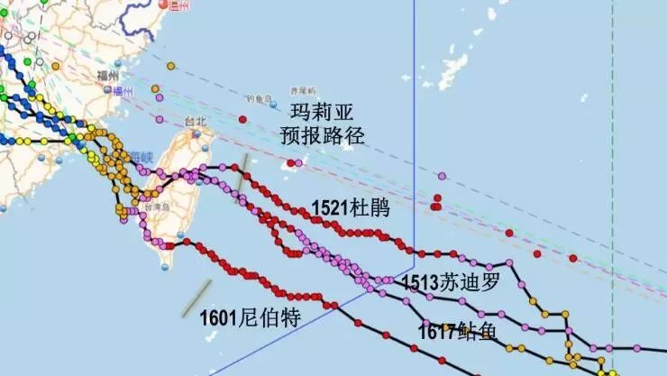 温州台风网实时更新，台风路径、动态及应对策略最新消息