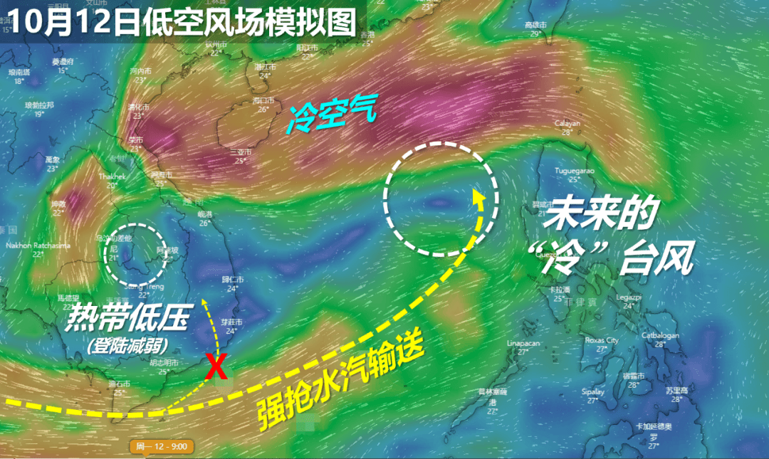 第十六号台风最新动态，全力应对，确保安全