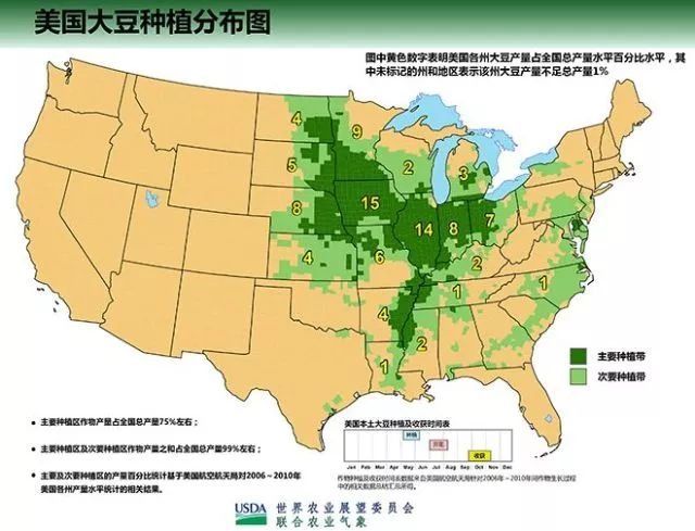 美国大豆市场动态，市场趋势、产业影响与未来展望