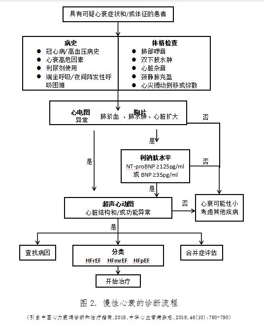 最新贫血分级标准详解