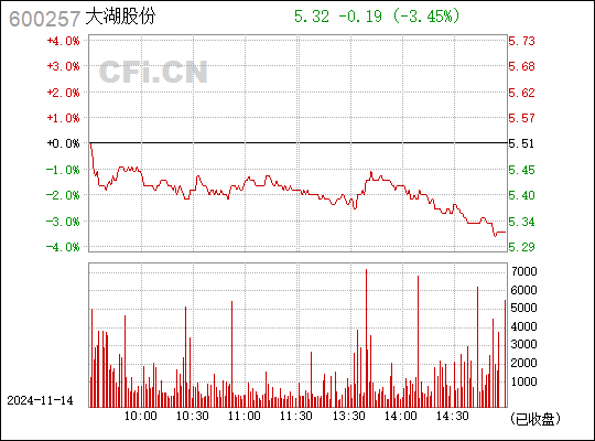 大湖股份最新消息全面解读与分析