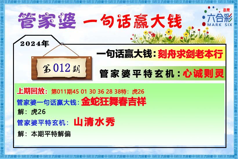 管家婆2024精准资料成语平特,创新定义方案剖析_PalmOS40.833