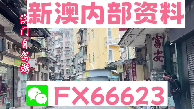 新澳精准资料免费提供网站,准确资料解释落实_V版66.861