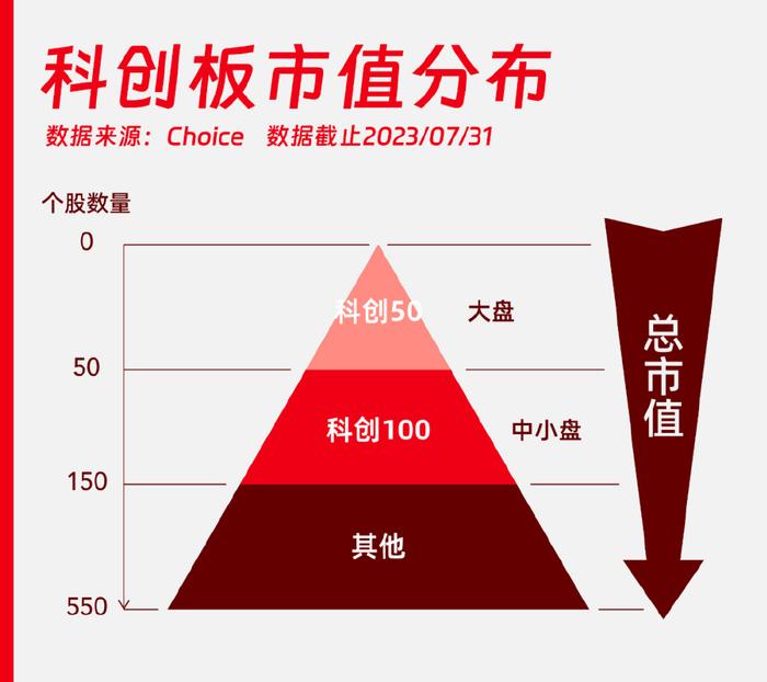 澳门王中王100的论坛,科技成语分析落实_交互版19.362