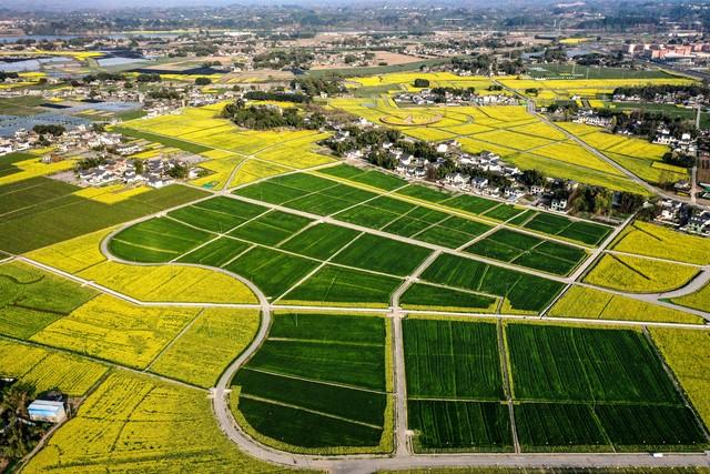 最新土地政策重塑农村发展与土地资源利用蓝图