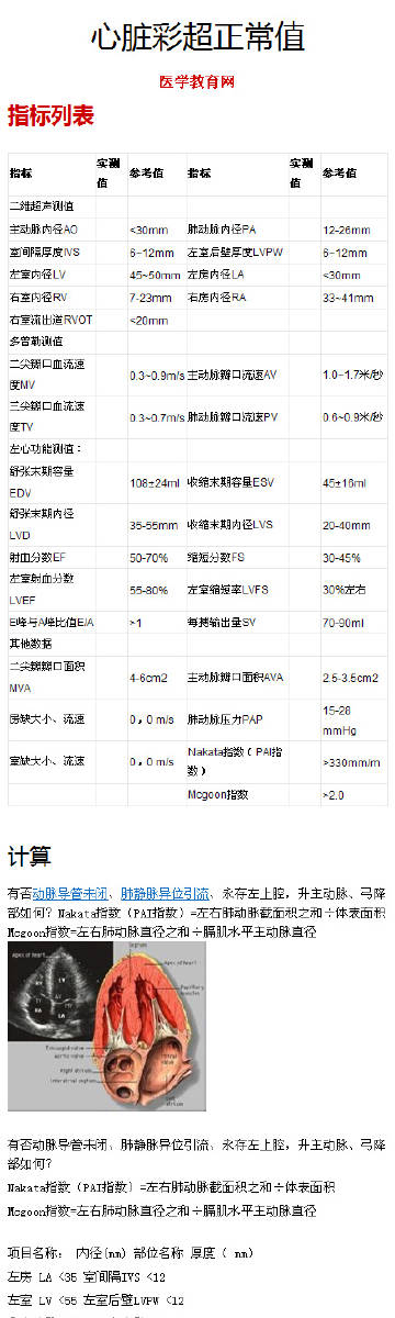 最新心脏彩超正常值及其临床意义解析