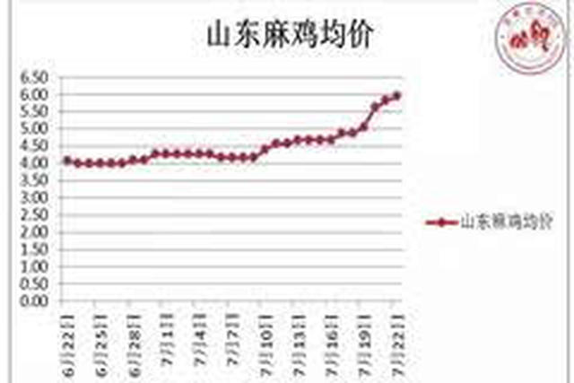 山东麻鸡最新价格动态，市场分析及趋势预测