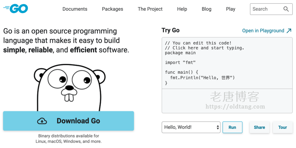 Golang最新版探索，性能提升与功能更新概览