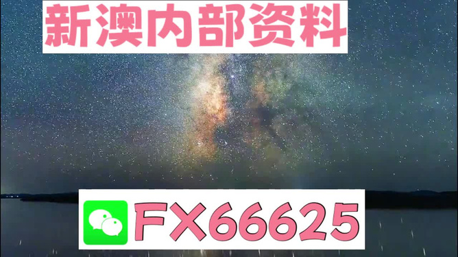 2024新澳天天彩免费资料,专业研究解析说明_soft30.366