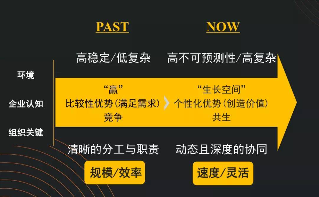 惠泽天下免费资料大全查询,高效性实施计划解析_3DM51.545