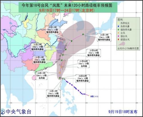 聚焦第16号台风动态，最新消息与实时更新