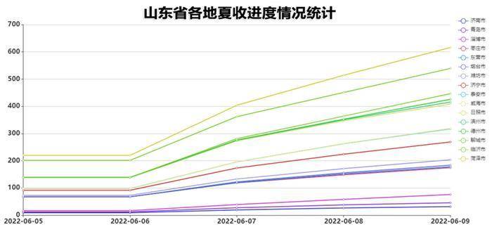 山东今日小麦价格最新动态分析