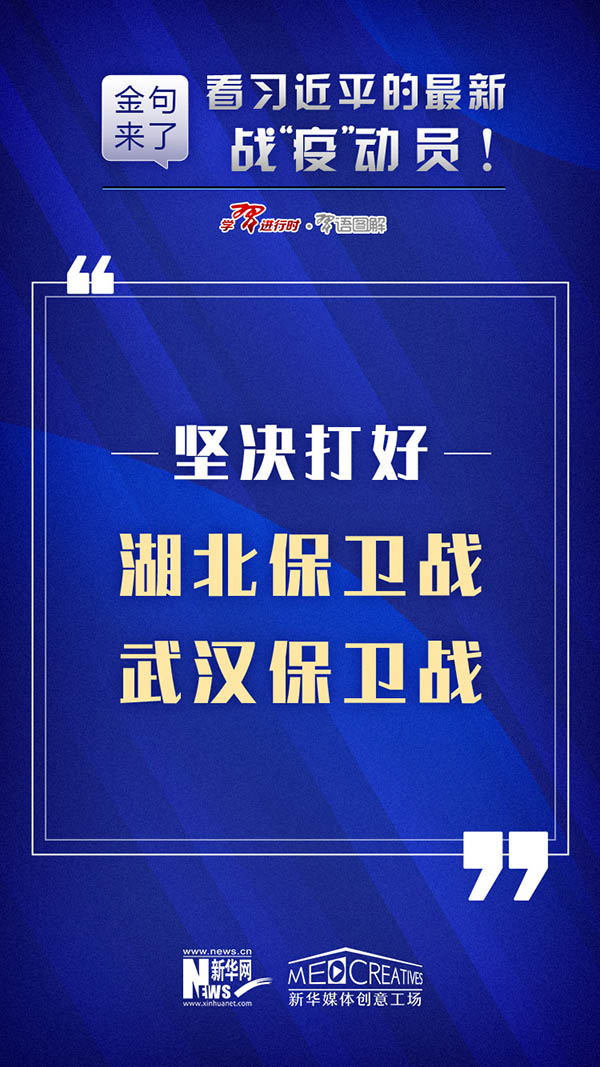 新澳免费资料大全,深入应用数据解析_钻石版49.336