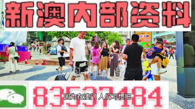 2024新澳精准资料免费提供,澳门内部,前沿解答解释定义_Deluxe58.140