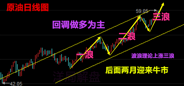 金凤凰高手论坛com,理论解答解释定义_W81.769