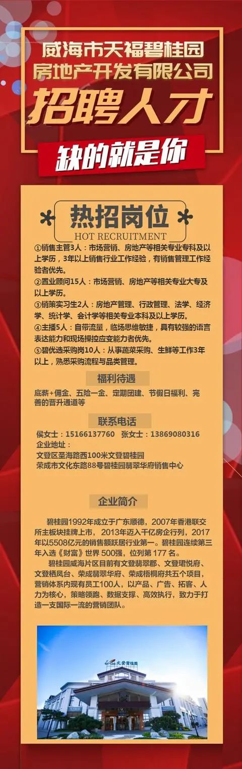 荣成信息港最新招聘动态，探索职业发展新机遇