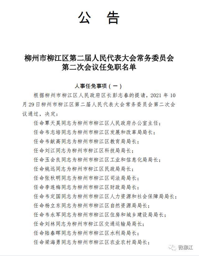 柳州市最新人事任免动态概览