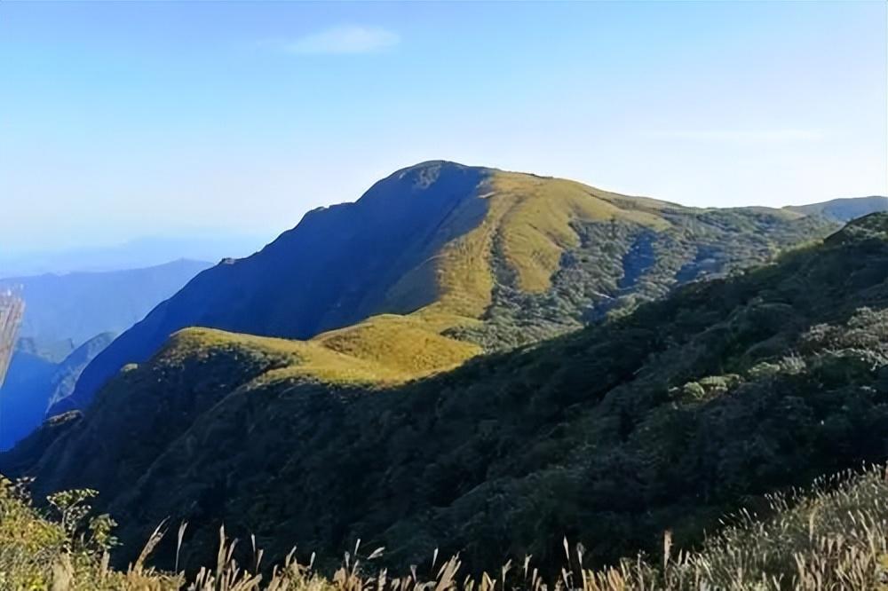 道县桥头林场绿色发展新规划，蓝图展望与未来前景