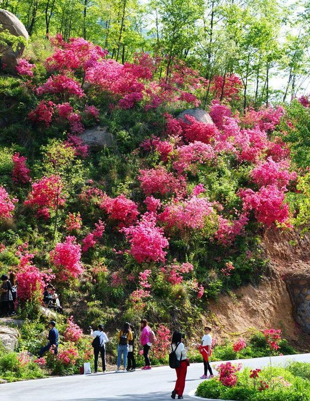 沿山镇交通新动态，发展引领地方经济活力提升