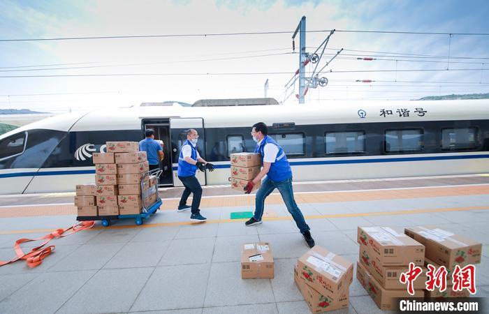 延长县农业农村局新项目推动农业现代化助力乡村振兴