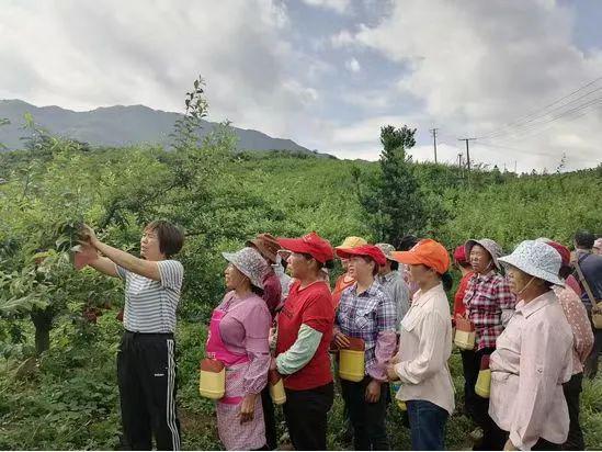 扎地村最新新闻报道概览