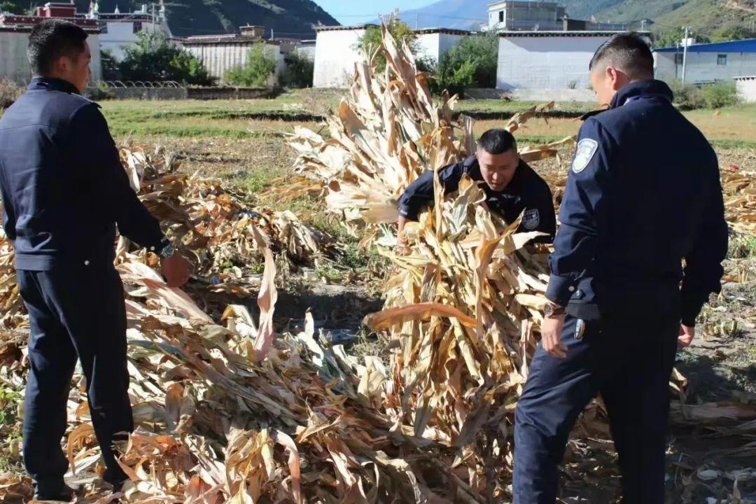 巴塘县公安局推动警务现代化项目，提升社会治安水平