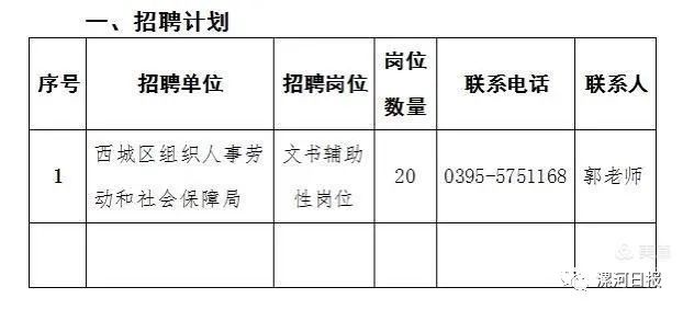 龙安区人力资源和社会保障局招聘最新信息全面解析