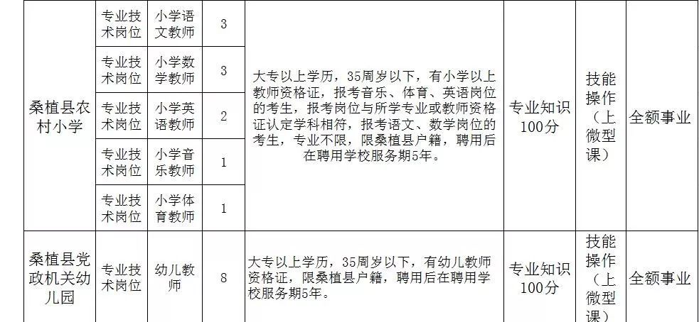 2024年12月11日 第17页