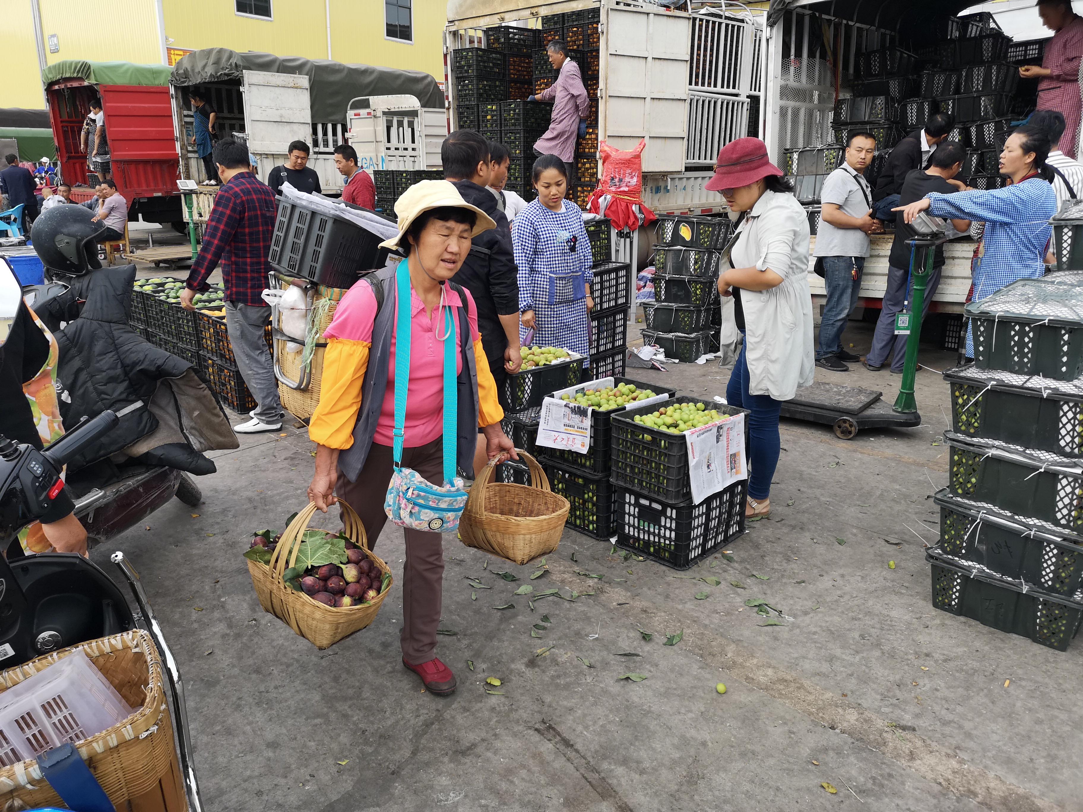 太和县公路运输管理事业单位最新动态报道