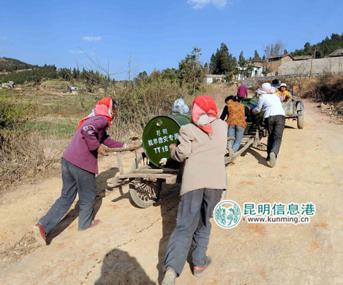 寻甸回族彝族自治县农业农村局最新新闻动态深度解析