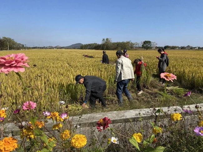 宜兴市农业农村局新项目推动农业现代化，乡村振兴再添新动力