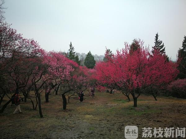 陵园街道办事处天气预报更新通知