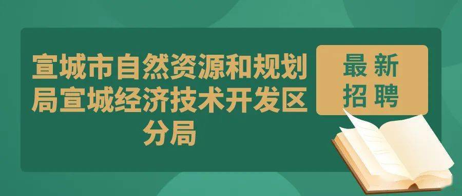 回民区自然资源和规划局最新招聘信息详解