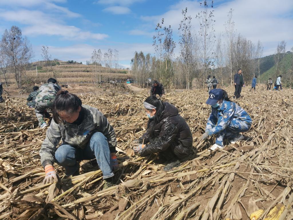 安泽县财政局最新项目概览概览发布