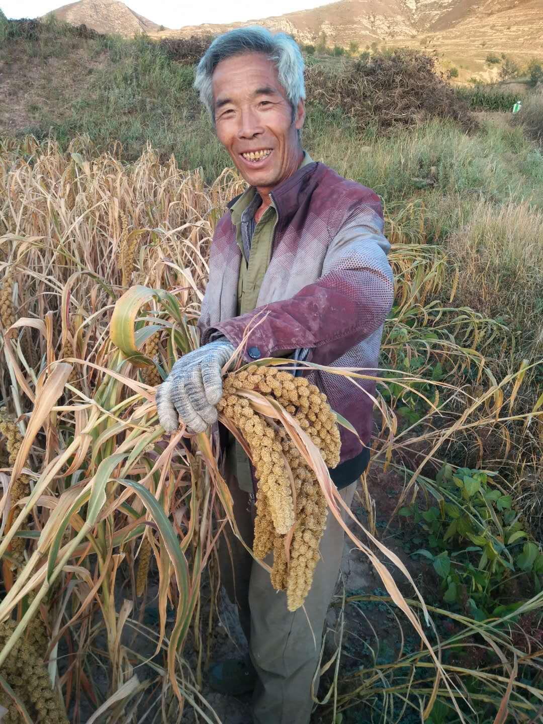 怀安乡新项目，引领地方发展的强大动力源泉