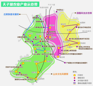 2025年1月2日 第11页